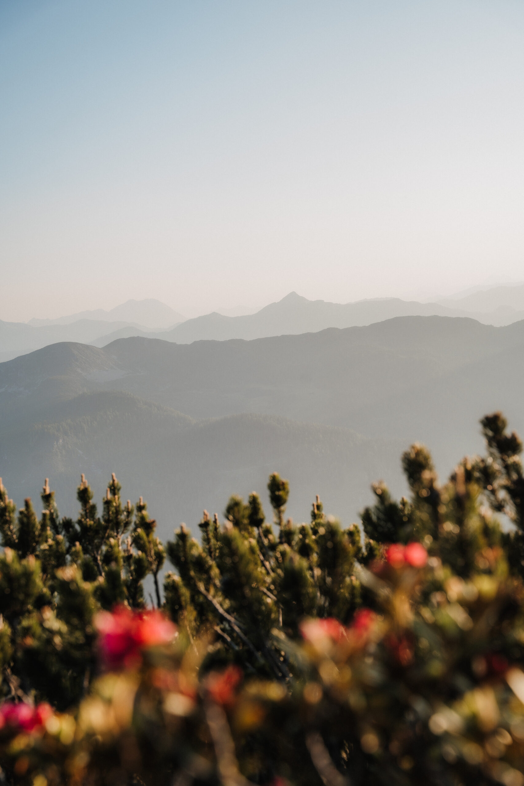 Gasslhoeh linda Steffi 21